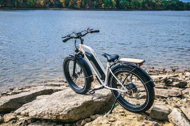 Electric Bikes